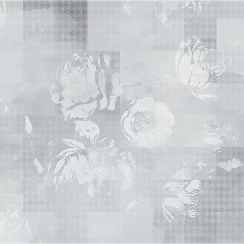 Mural Pentimento Gallo