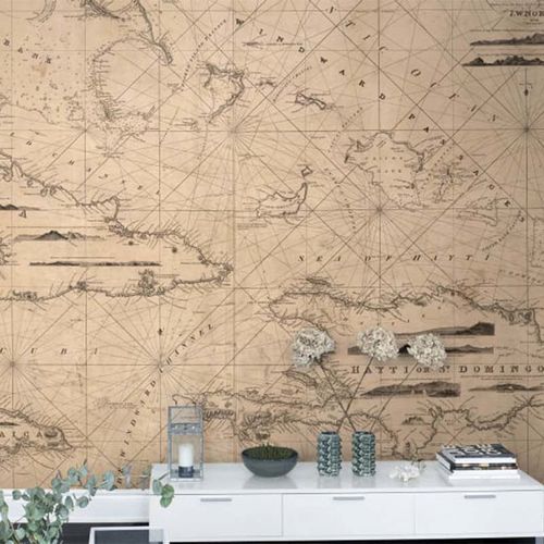 Mural Maps Navigation Lines Neutro