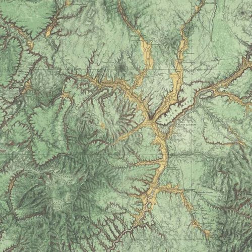 Mural Maps - Woodland Rebel Walls