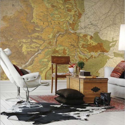 Mural Maps Trails and Tracks Neutral
