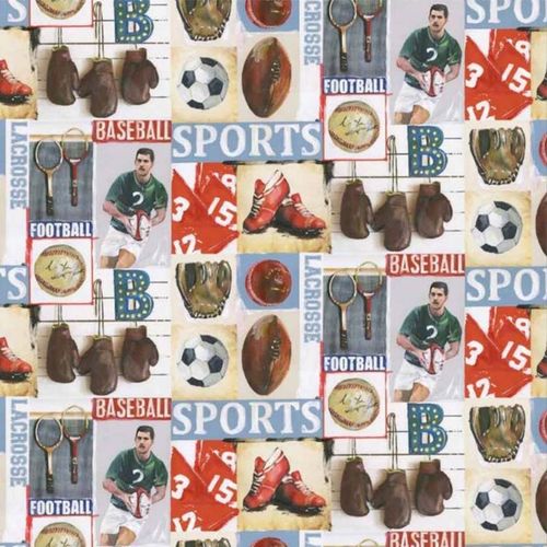 Mural Palette - Sports Junkie Rebel Walls