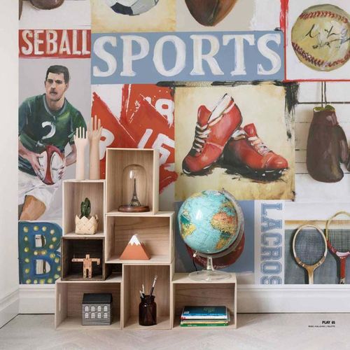 Mural Palette - Sports Junkie Rebel Walls