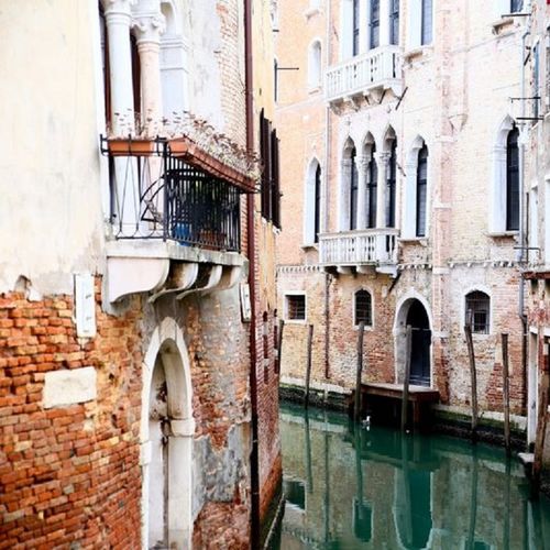 Mural Home - Venice Rebel Walls