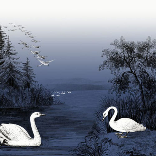 Mural Deco Lago de los Cisnes