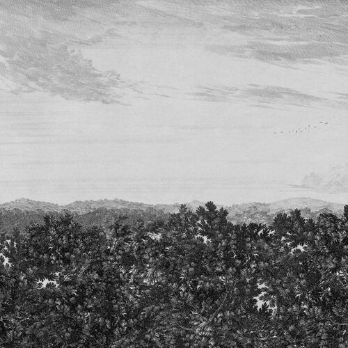 Mural Löfstad Oak View Graphite