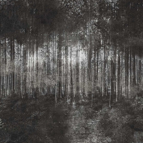 Mural Gaia Acassia Negro