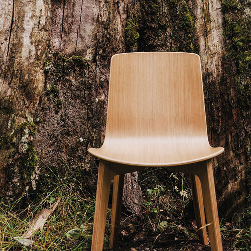 Silla Lottus Wood