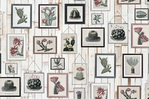 Mural Home Cactus Wall Art Faded