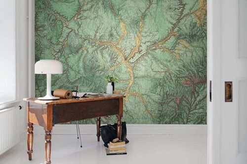 Mural Maps Woodland