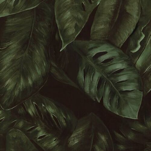 Papel Tapiz Oddity Amazon Fern