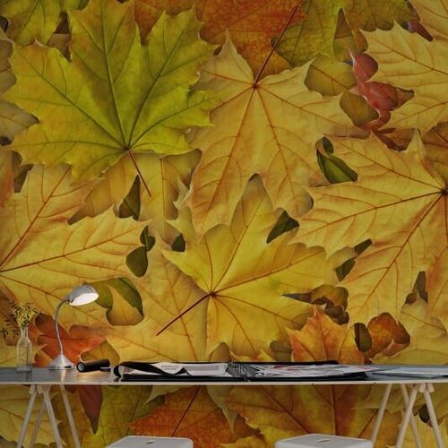 Mural Panorama Autumn Leaves