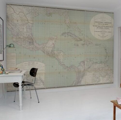Mural Maps Tropical Americana Verde