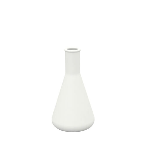 Florero Chemistubes Erlenmeyer