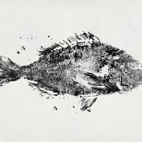 Mural Mediterranéen Poissons Blanco Negro