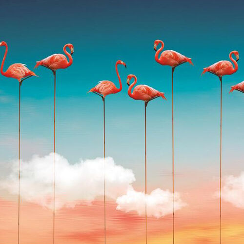 Mural Dankie Flamingos Pink