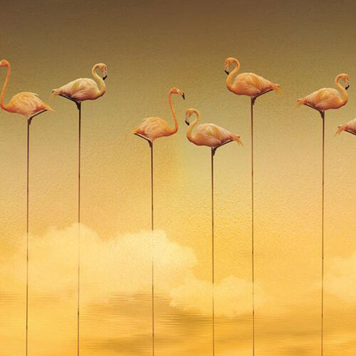 Mural Dankie Flamingos Yellow