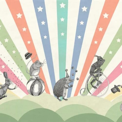 Mural Circus Rainbow