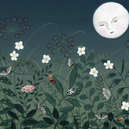 Mural Pixie Night