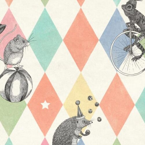 Papel Tapiz Circus Corner Rainbow