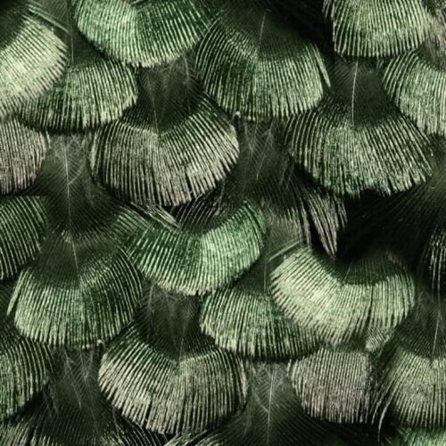 Papel Tapiz Petite Peacock Plumage Jade