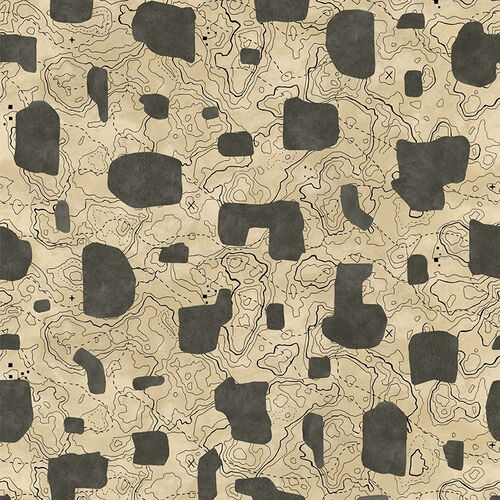 Papel Tapiz Playful Layers Map Xylography Gris