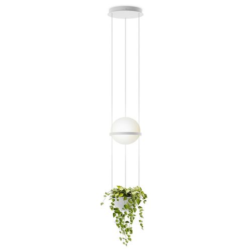 Lámpara de suspensión vertical maceta Palma Vibia